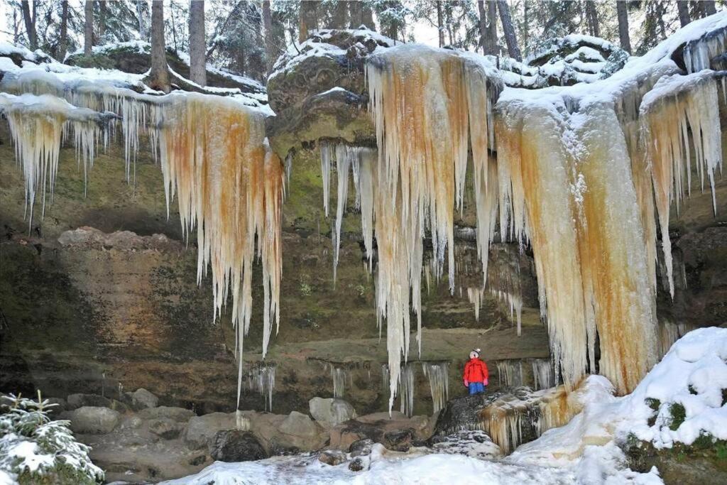 Brana Do Ceskeho Svycarska - Raj Cyklostezek Stare Krecany Exteriér fotografie